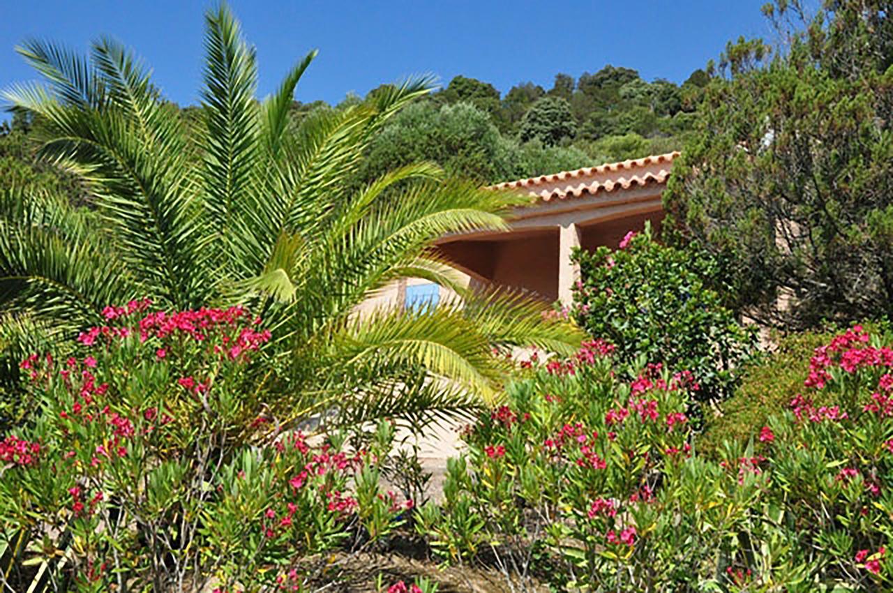 Residence U Latonu - Palombaggia Porto-Vecchio  Buitenkant foto
