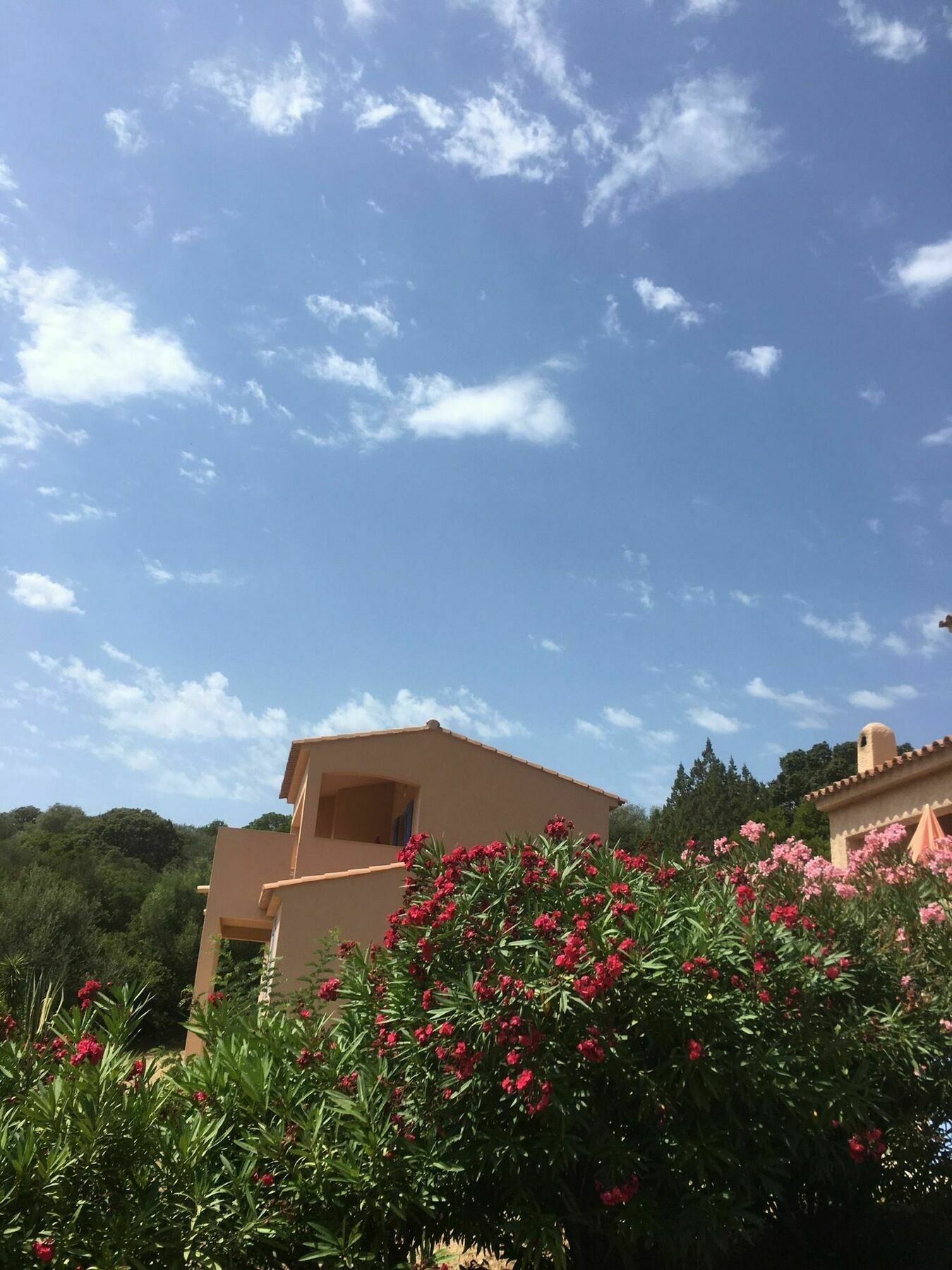 Residence U Latonu - Palombaggia Porto-Vecchio  Buitenkant foto